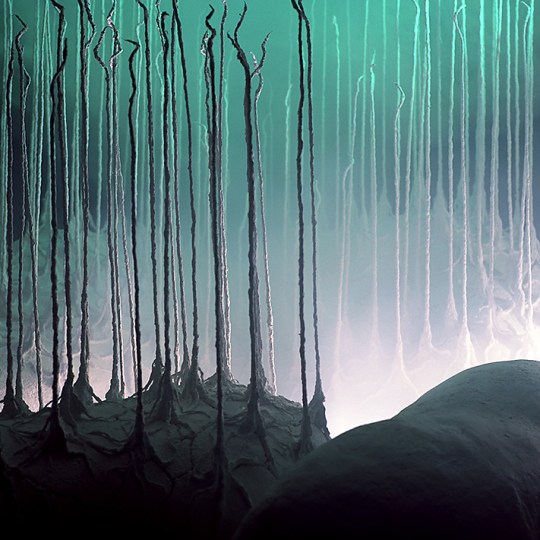 "Dendritic Clear-Cut, Limbic Ridge"