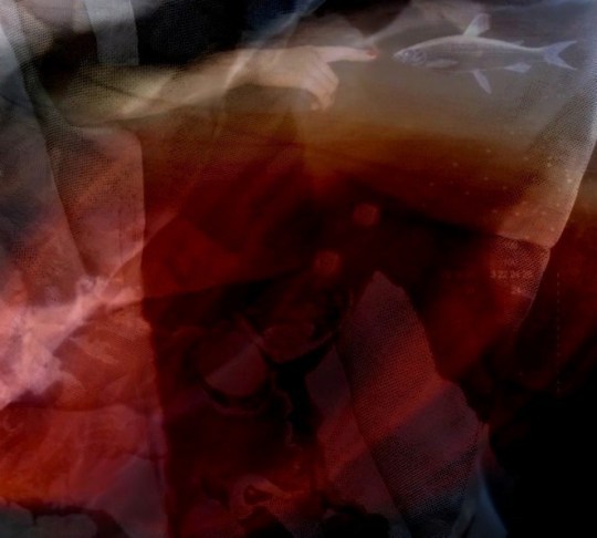 Franck Balestracci-Collage 06