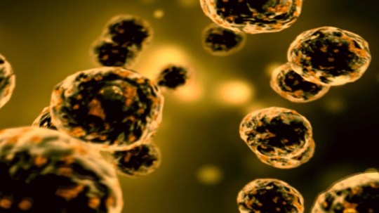 Screenshot 1, Fragments of an Illness, 2011