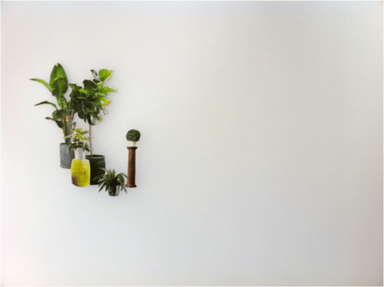 Liz Linden exotic domestic no. 1 Paper on denril 17”x14" http://www.lizlinden.com/exotic_domestic.html 