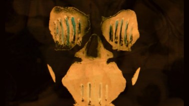 Screenshot 2, Fragments of an Illness, 2011