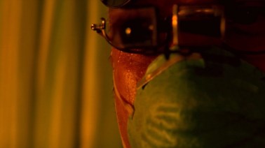 Screenshot 5, Fragments of an Illness, 2011