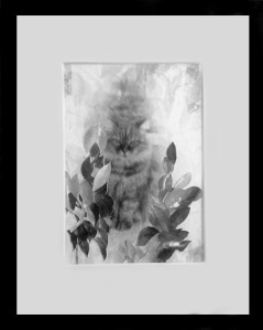 Deborah Kanfer personal artwork 1