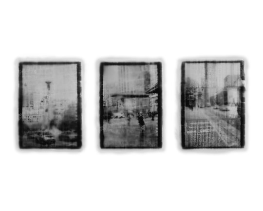 Deborah Kanfer-Website and Print