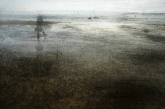 Part of the Landscape1