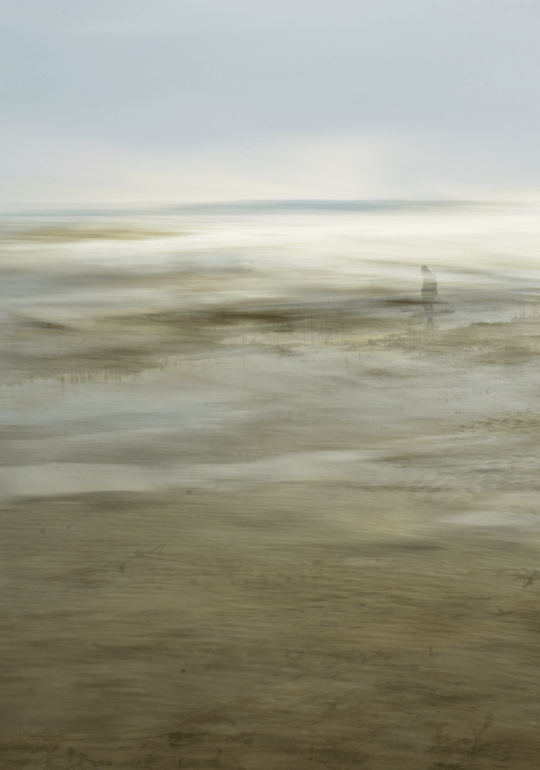 Part of the Landscape 2 