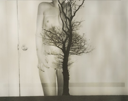 I Hope You're Happy (Now)