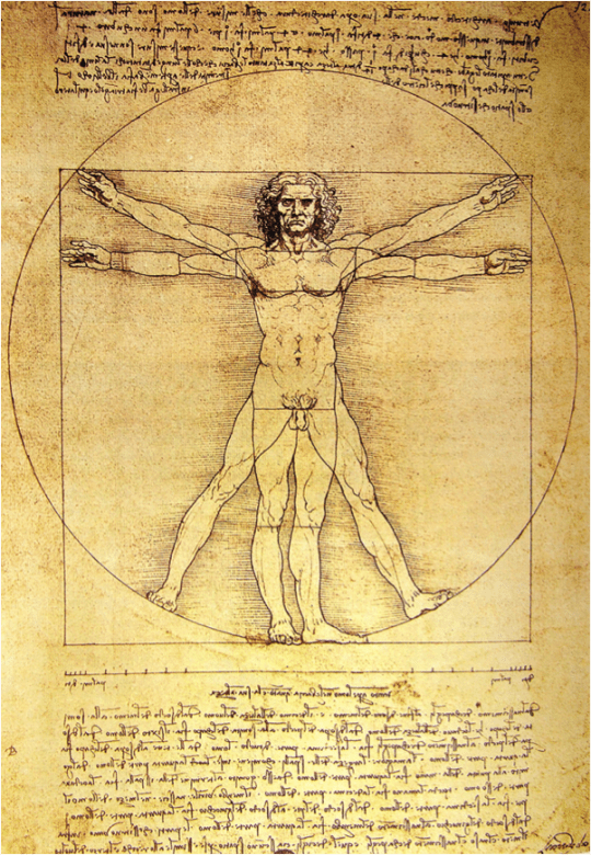 Leonardo Vitruvian Man
