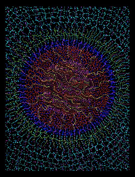 Compassionate Heart Open Mind 