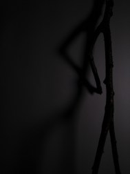 Rey Foret-solitarynude bio photo