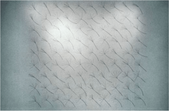 Consolation. 1996. Wire rope. 10' x 10'. Each unit 18" high. Installed at Trans Hudson Gallery, Jersey City, NJ. http://marenhassinger.com/drupal/work/consolation