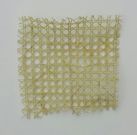 Little Yellow, 4 X 4