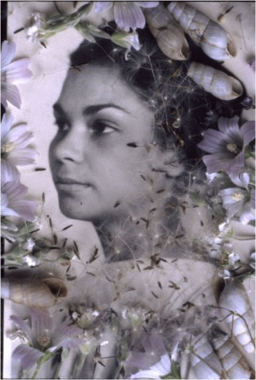 Albert Chong Christiane http://www.albertchong.com/index.php/galleries/4-color-still-life-photographs/detail/46-christiane-2003?tmpl=component 