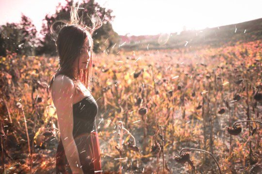 David Giovannetti-end of summer-melissa-e-girasoli-modifica