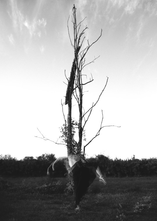 David Giovannetti-Untitled-1