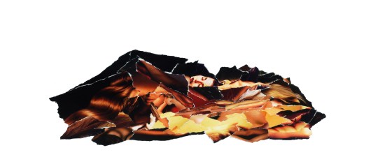 02_Landscape_Lita_Poliakova_43x18