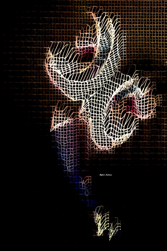 Rafael Salazar Digital Sculpture series 1