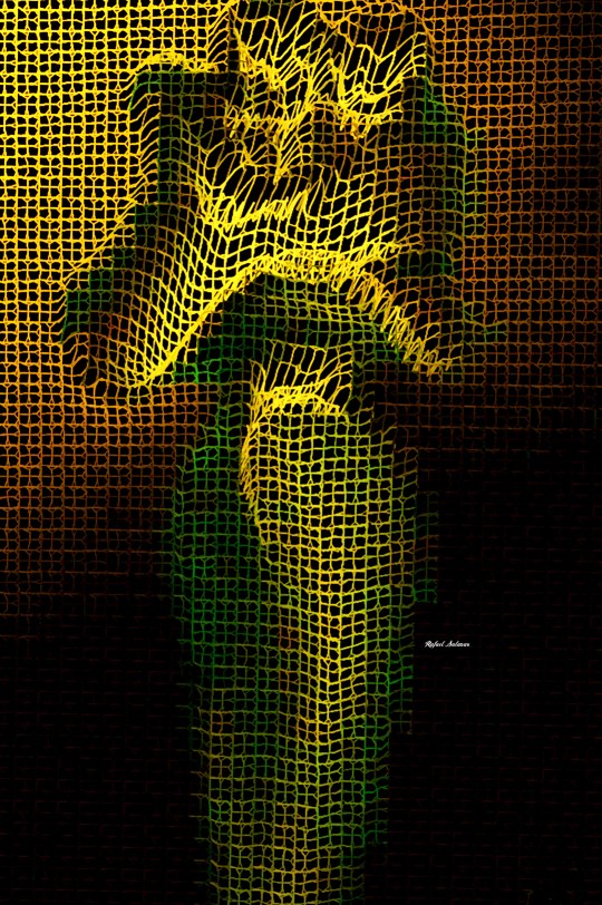 Rafael Salazar Digital Sculpture series 2