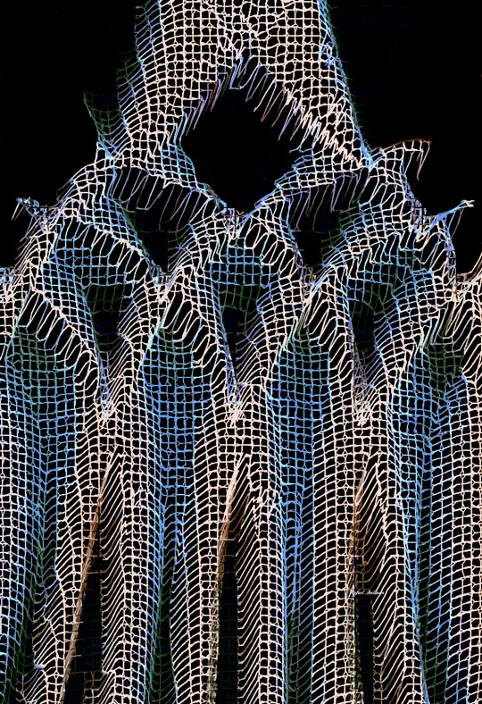 Rafael Salazar Digital Sculpture series 4