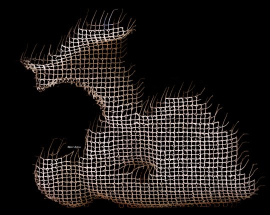 Rafael Salazar Digital Sculpture series 8