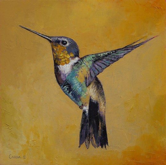 Hummingbird