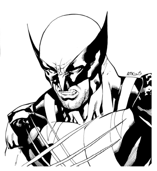 http://3.bp.blogspot.com/-V4og_d_OcKI/UIC0Sujh9uI/AAAAAAAAD9k/jwoHTvjlENc/s1600/DS_430_Wolverine.jpg