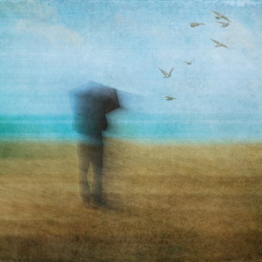 raewyn-senff-flying-south