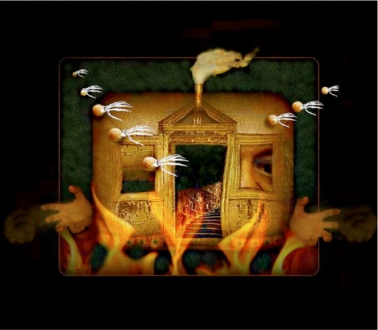 david-feingold-ct-10