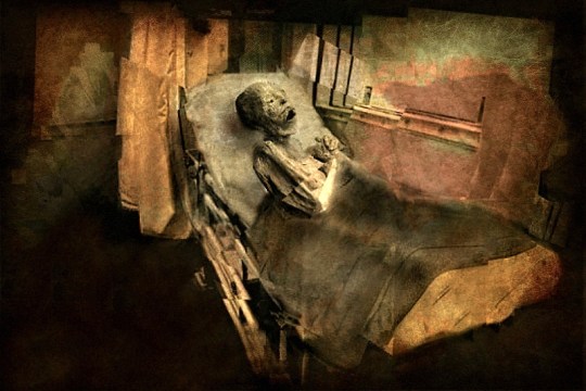 david-feingold-ct-12